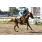 LA TOSCANA CAT4