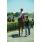 10-12-11 054