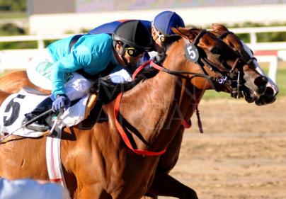 CLASICO GENERAL FRANCISCO B. BOSCH (L)
