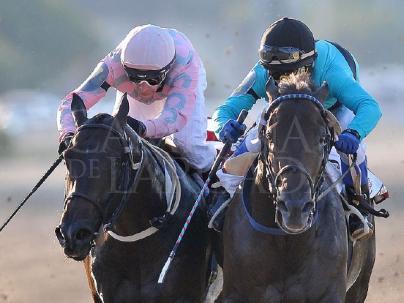 GRAN PREMIO SANTIAGO LURO (G.I)