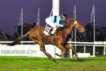 CLASICO VELOCIDAD (G. III) 