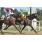 DAMASKINO - HANDICAP RUSTOM PASHA 