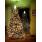 ARBOL 20