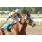 WAY OF LIVING - CLASICO CARLOS CASARES (GIII) - AGRADECEMOS AL HIPODROMO DE PALERMO