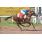 WINS VAN - CLASICO JUAN BAUTISTA BAIGORRIA 