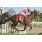 TAKE THE STAND - CLASICO HORACIO BUSTILLO (G3)