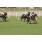 09Âº 11a Todo Tango  Key (8)