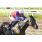 L ETRANGIER (USA) - HANDICAP CHARLES KING