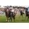 Sole Power