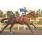 KING AT HOME - HANDICAP SILURIAN  