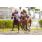 PERNAMBUCO KEY (1)