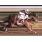 Afleet Express (por los palos)