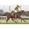 GRAN PREMIO 25 DE MAYO (G1) 