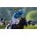 american-pharoah1