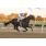 9Âº 3 First Mover (12)