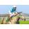 GIACOM - CLASICO GENERAL PUEYRREDON (G2) 