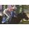 PHELPS - CLASICO MIGUEL CANE (G2)