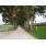 HARAS-FIRMAMENTO2.jpg