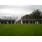 HARAS-FIRMAMENTO4.jpg