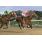9Âº 5 Wells Valiente (3)