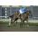 12Âº 8 Un Apostol (2)