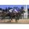 10Âº 7 Ahora Dale (6)