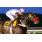 ORCADA SALE - CLASICO LOS HARAS (G2)