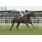6Âº 7 Santillano (8)