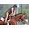 Breeders10