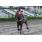 JJS_9485
