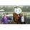 Breeders10