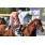 Breeders15
