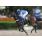 DOÃ‘A FANTA - ESPECIAL ILUSTRISIMA - AGRADECEMOS AL HIPODROMO DE PALERMO
