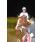 DSC_8964 (800x600)