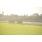 DSC_9147 (800x600)