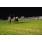 DSC_9593 (800x600)
