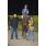 DSC_9603 (800x600)