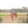 DSC_9723 (800x600)