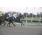 DSC_0055 (800x600)