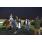 DSC_0637 (800x600)