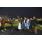 DSC_0645 (800x600)