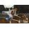 DSC_0663 (800x600)