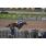 DSC_0567 (800x600)