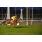 DSC_0774 (800x600)
