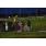 DSC_0778 (800x600)