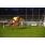 DSC_0772 (800x600)