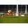 DSC_0773 (800x600)