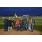 DSC_0786 (800x600)
