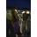 DSC_0793 (800x600)