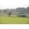 DSC_1347 (800x600)